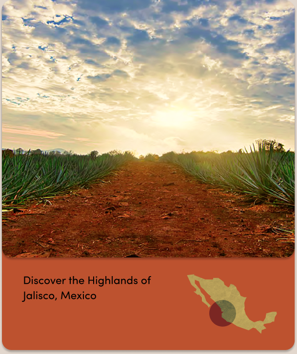 Discover the Highlands of Jalisco, and the clay rich soils of the blue agave farms